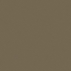 Papel Pintado Carl Robinson 17 CR83016
