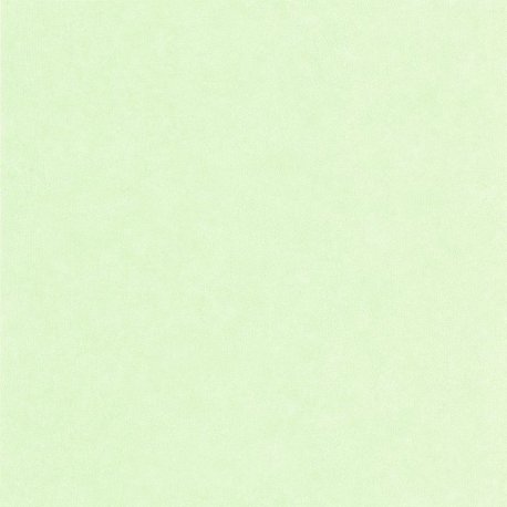 Papel Pintado Ceramique 105247499
