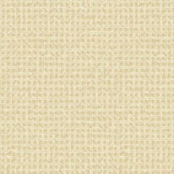 Papel Pintado Japandi Style JP11203