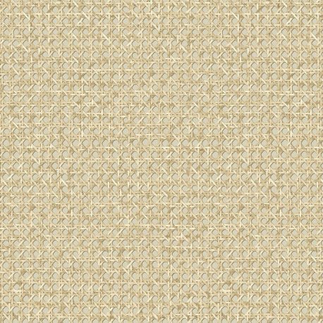 Papel Pintado Japandi Style JP11205