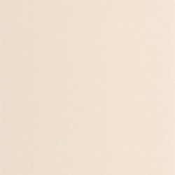 Papel Pintado Galons & Frises 200331101