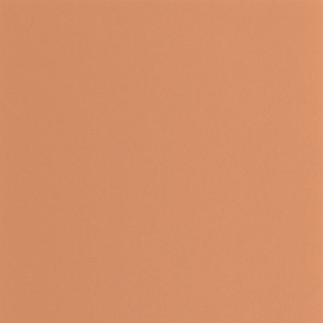 Papel Pintado Galons & Frises 200333320