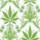 Papel Pintado Mullberry Tree TJ40104