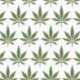 Papel Pintado Mullberry Tree TJ41304