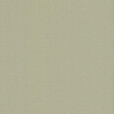 Papel Pintado Artistic Abstracts SI24951