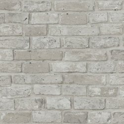 Papel Pintado Tierra 212603-5