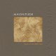 Magnitude