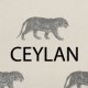 Ceylan