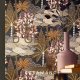 Nuit D'Orient