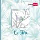 Colibri